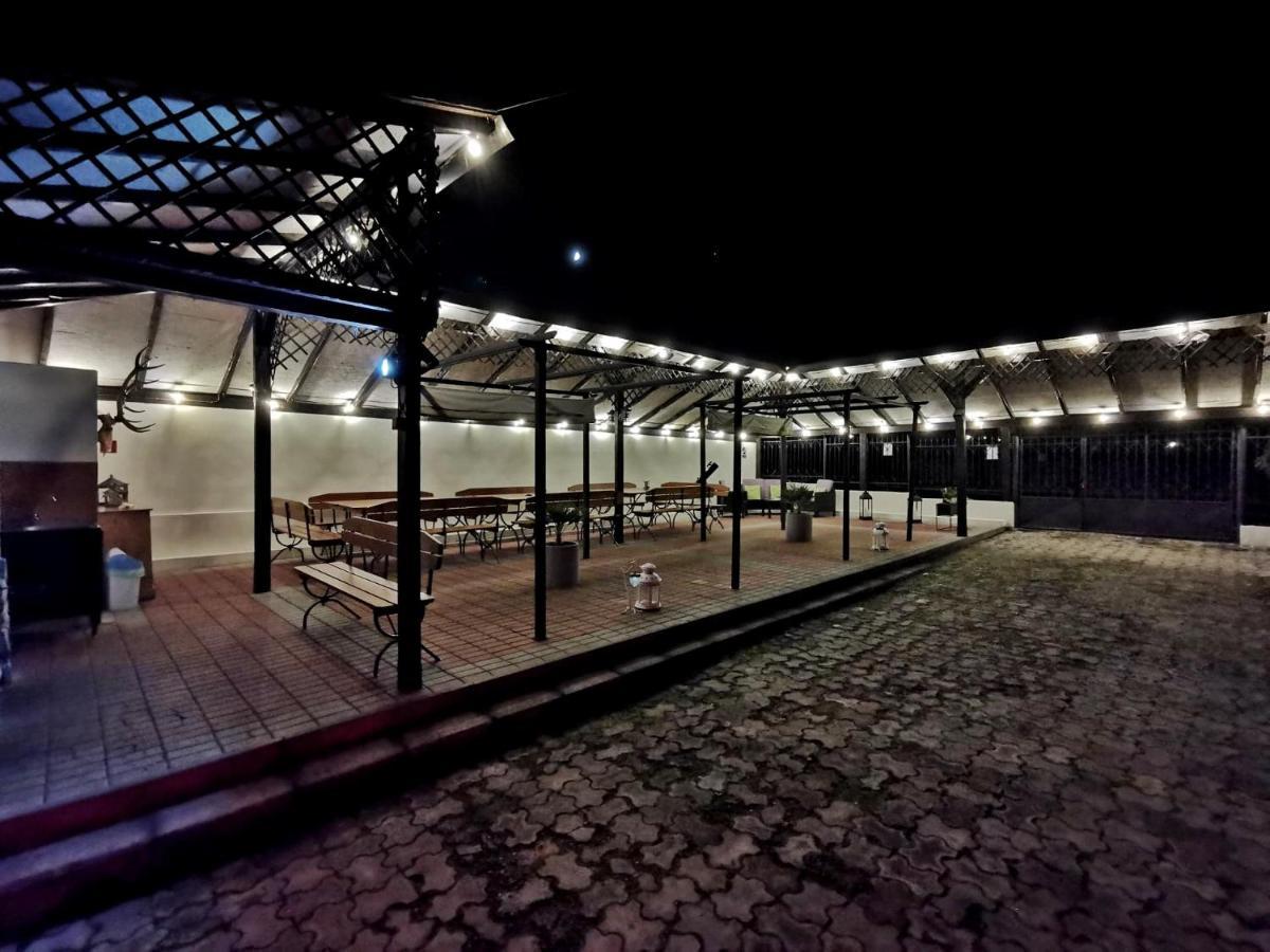 ホテル Casa Sasului バズナ エクステリア 写真